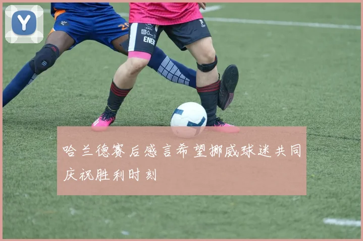 哈兰德赛后感言希望挪威球迷共同庆祝胜利时刻