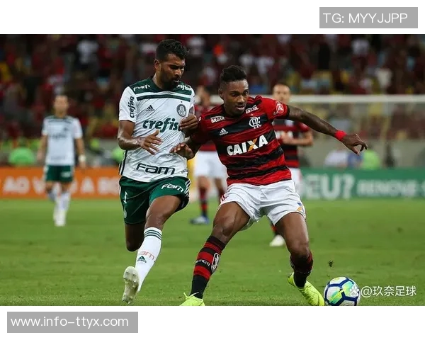 巴西足球盛事帕尔梅拉斯与弗拉门戈争夺南美解放者杯冠军